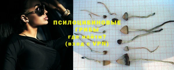 гидропоника Аркадак