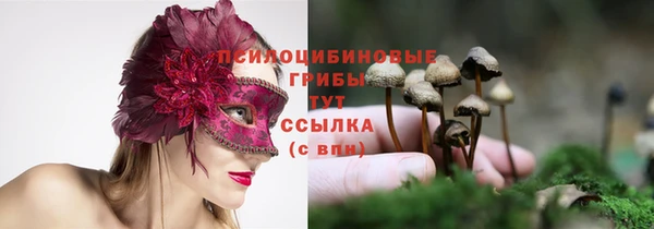гидропоника Аркадак