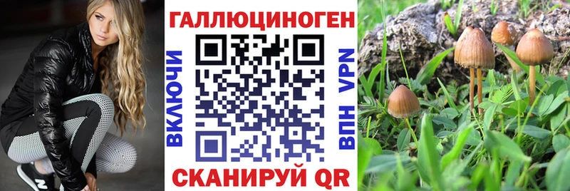 цены наркотик  Полярный  Галлюциногенные грибы прущие грибы 